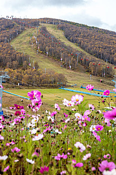 太舞滑雪小镇,北美风情,四季全运营,2022北京冬奥会张家口赛区
