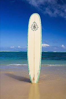 冲浪板,困住,沙子,热带沙滩