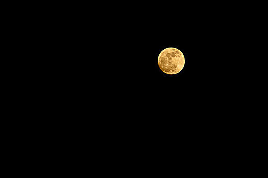 夜晚黄色的圆月亮