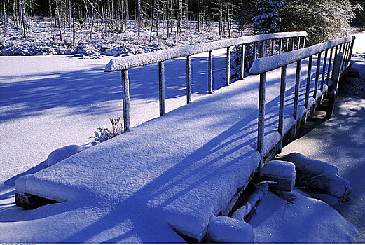 桥,冬天,阿尔冈金省立公园,安大略省,加拿大