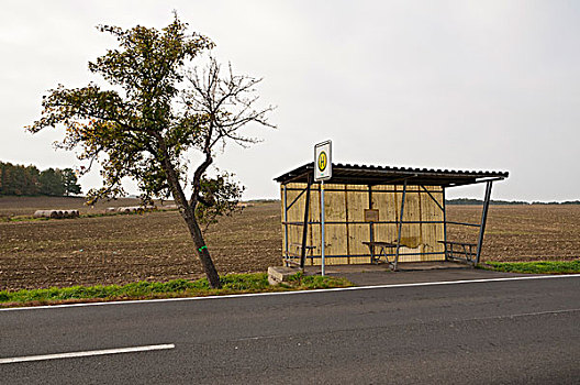 公交车站,乡野