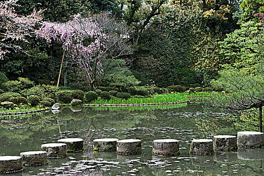 花园,平安神宫,京都,日本,序列,垫脚石,装饰,湖