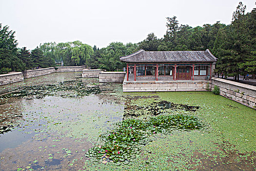 北京颐和园荷塘