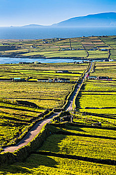 道路,景色,俯视,农田,斯凯利格,海岸,克俐环,凯瑞郡,爱尔兰