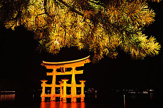 宫岛,严岛神社,鸟居,夜晚,日本