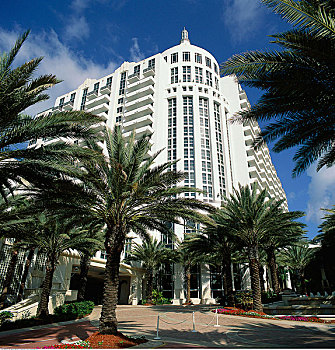 酒店,迈阿密海滩,迈阿密,佛罗里达,美国
