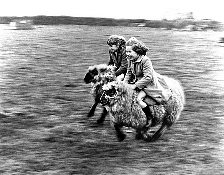 两个女孩,乘,比赛,绵羊,英格兰,英国