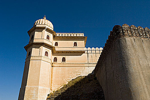 仰视,宫殿,堡垒,地区,拉贾斯坦邦,印度