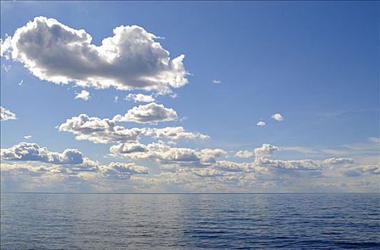 白云,蓝色背景,天空,瑞典