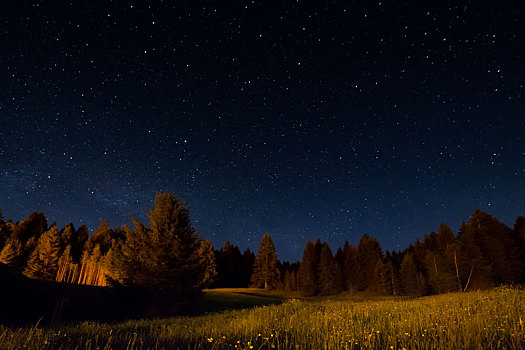 夜晚,风景,星光