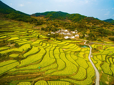 航拍,俯视,全景,线条,民居,房子