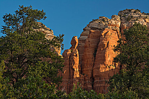 红岩,石头,道路,国家森林,塞多纳,亚利桑那,美国
