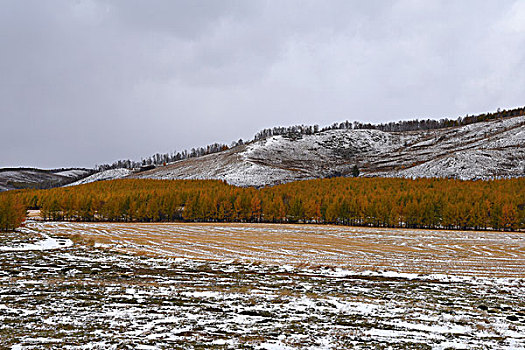 阿尔山雪景