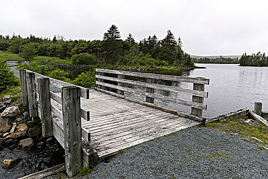 木质,步行桥,上方,河,牡蛎,水塘,新斯科舍省,加拿大