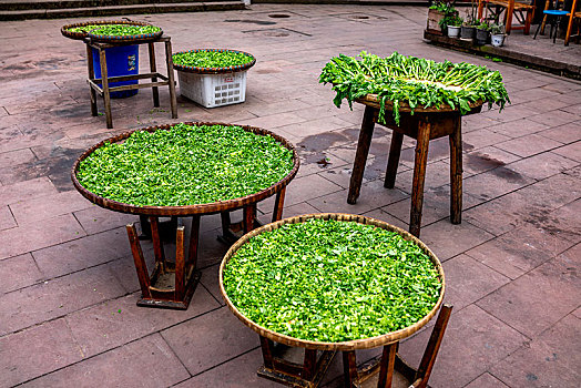四川省雅安上里古镇街道晾晒的咸菜
