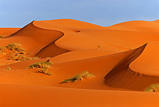 沙丘,却比沙丘,西部,边缘,撒哈拉沙漠,摩洛哥,非洲