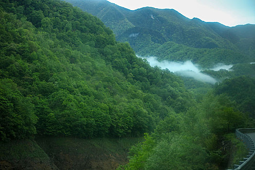 神农架,大九湖,风景,景点,旅游,高山,瀑布,河流,树木,植被,湿地,高原,湖泊,壮观