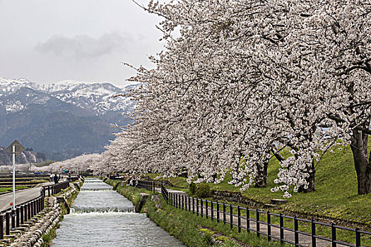 日本