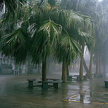 香港,中国