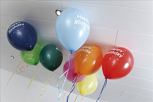 气球,生日快乐,文字,氦气,困住,天花板
