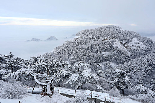 雪后华山宛如画