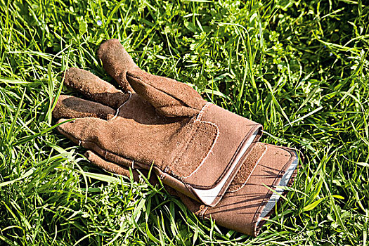 一对,园艺手套,草地