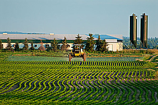 作物,喷雾器,大豆,靠近,安大略省