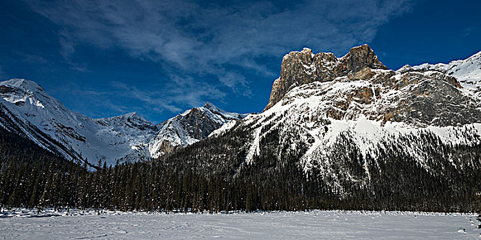 雪,崎岖,加拿大,落基山脉,积雪,地点,幽鹤国家公园,不列颠哥伦比亚省