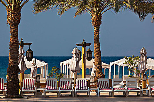 约旦,红海,海滩,酒店,游泳池,特写