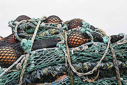 渔业,网,西雅图,美国