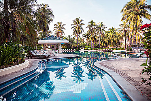 椰树泳池