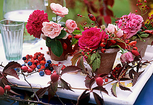 玫瑰,野玫瑰果,黑刺李,陶制器具,绿洲