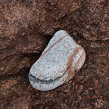 灰色,石头,海滩,布雷顿角岛,新斯科舍省,加拿大