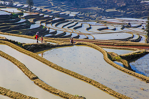 全福,梯田