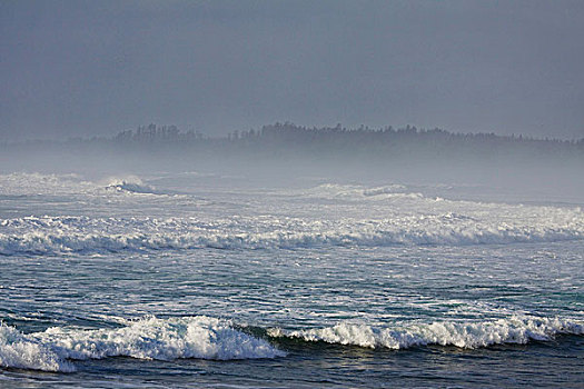 薄雾,波浪,冬天,环太平洋国家公园,温哥华岛,不列颠哥伦比亚省