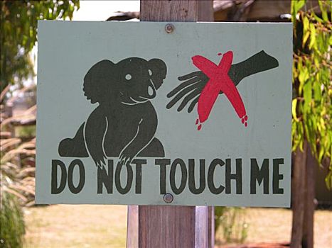 标识,接触,树袋熊,维多利亚,澳大利亚