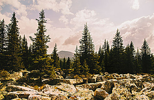 风景,石头,树林,远景,山,俄罗斯