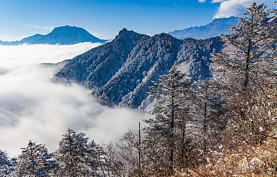 西岭雪山大雪的美丽风景