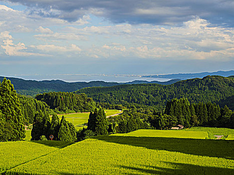 郊外,山,富山,海湾