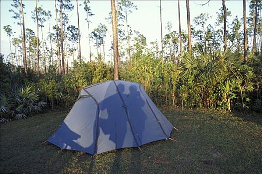影子,伴侣,帐蓬,营地,埃弗格来兹,佛罗里达