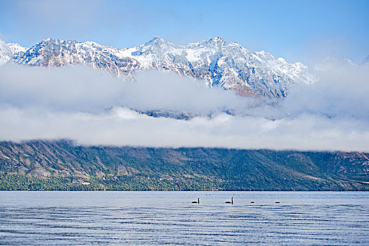 风景