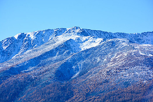 喀纳斯雪山