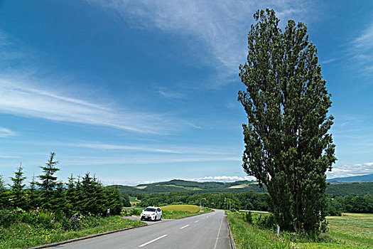 日本北海道美瑛