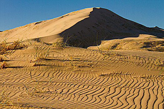 沙丘,莫哈韦沙漠,国家,保存,加利福尼亚