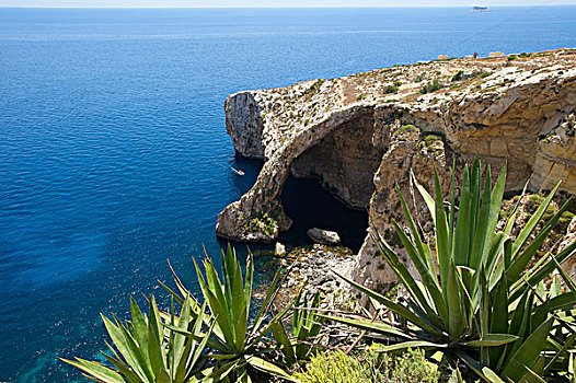 蓝色,洞穴,马耳他,欧洲