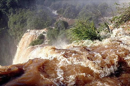伊瓜苏瀑布,边界,阿根廷,巴西,特写,瀑布