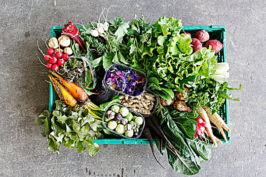 蔬菜,板条箱,有机,莴苣,风景,俯视