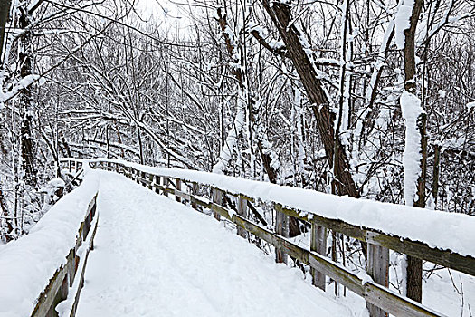 积雪,人行道,自然保护区,魁北克省,加拿大,北美