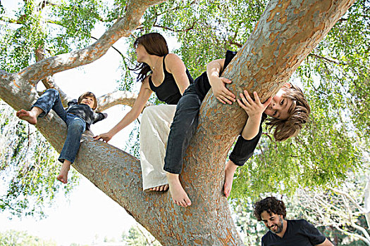 家庭,两个男孩,攀登,公园,树