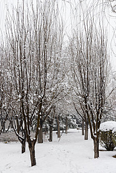 河北省石家庄正定县,云居湖公园雪景